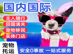 哈尔滨平房机场快递国际宠物托运 【国